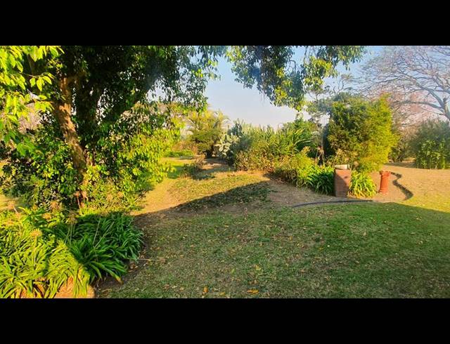 FARM FOR SALE IN MANDENI